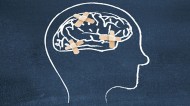 Brain drawn on chalkboard with plasters