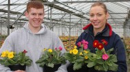 Horticultural apprentices