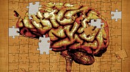 Brain puzzle