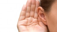 Ear