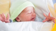 Maternity rights in surrogacy
