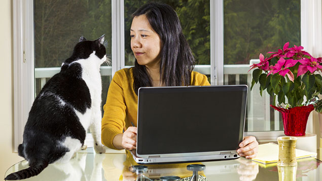 Woman with laptop and cat