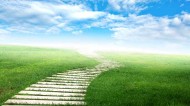 combined-path-for-OH
