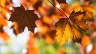 Four employment law changes in October 2014