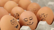 Staff misconduct: how to spot bad eggs