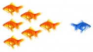 stand out from the crowd