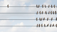 indirect-discrimination