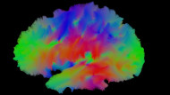 neuroscience