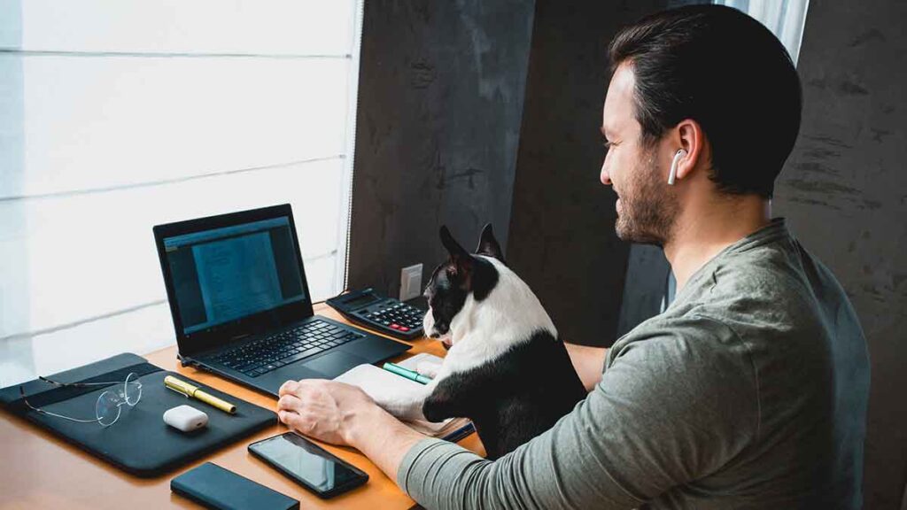 working from home statistics