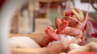 A premature baby. Parent on neonatal leave