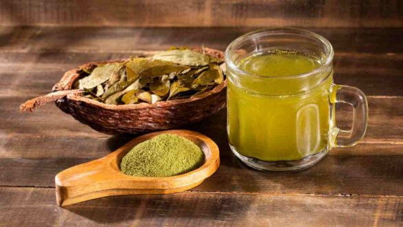 Cocaine tea dismissal: Image of coca tea or Inca tea