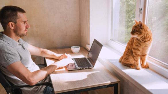A man working from home, with a cat on the window sill