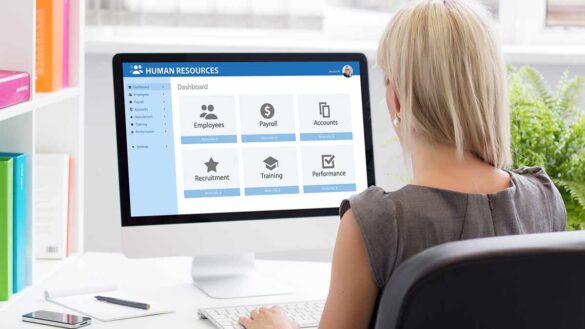 HR professional calculating holiday entitlement using HR software