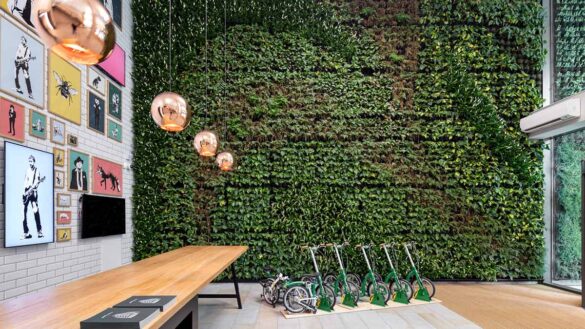 A living wall in Hempsons' Windmill Green, Manchester, office.