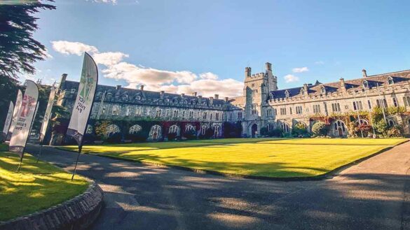 Wim Naudé v University College Cork unfair dismissal
