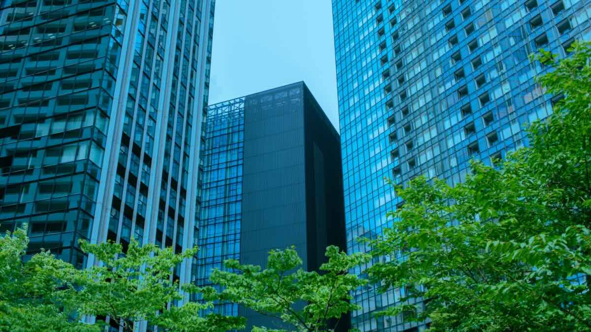 Finance professionals expect less emphasis on ESG and DEI