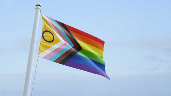 LGB inclusion: Why LGBTQ+ is not one big, happy acronym. Photo shows the Progress Pride flag