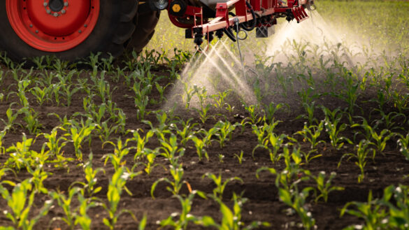 Pesticides